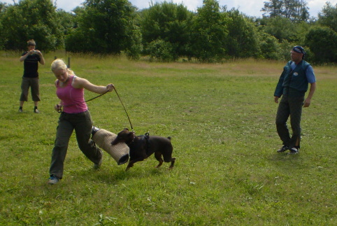 Training in Estonia 6/2007